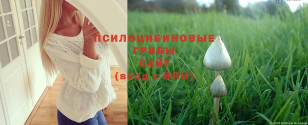 мяу мяу мука Иннополис