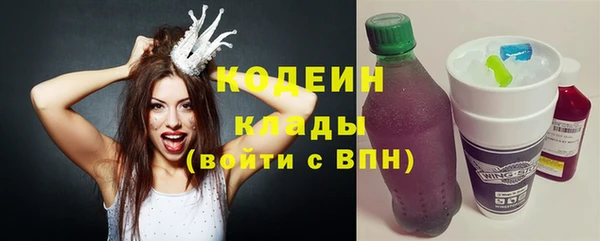 мяу мяу мука Иннополис