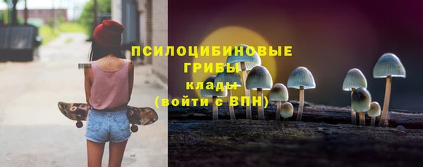 мяу мяу мука Иннополис